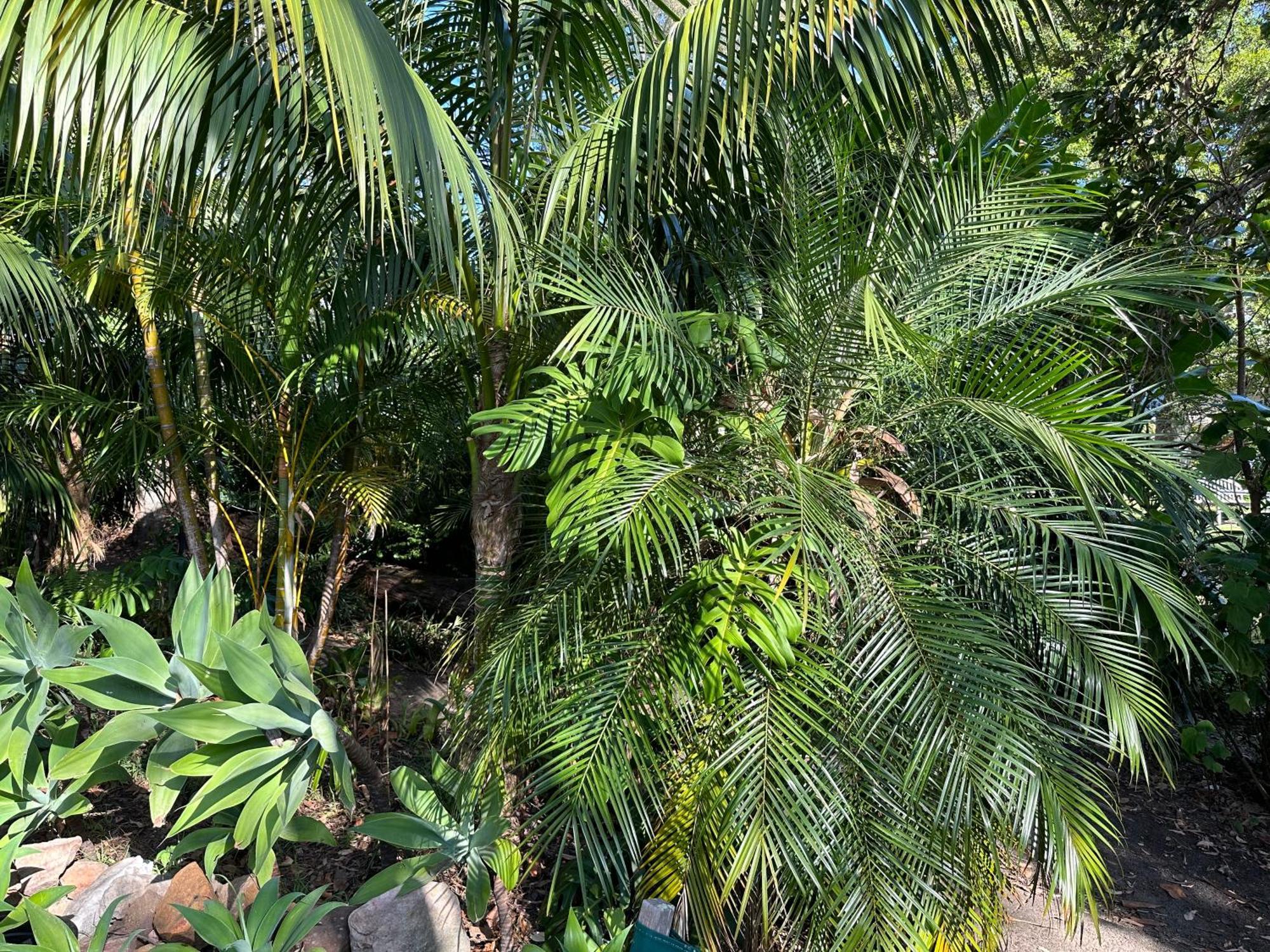 Palm Beach Bed & Breakfast Exteriör bild