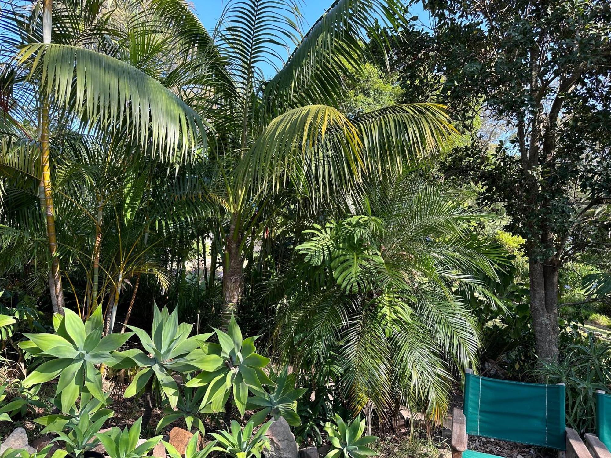 Palm Beach Bed & Breakfast Exteriör bild